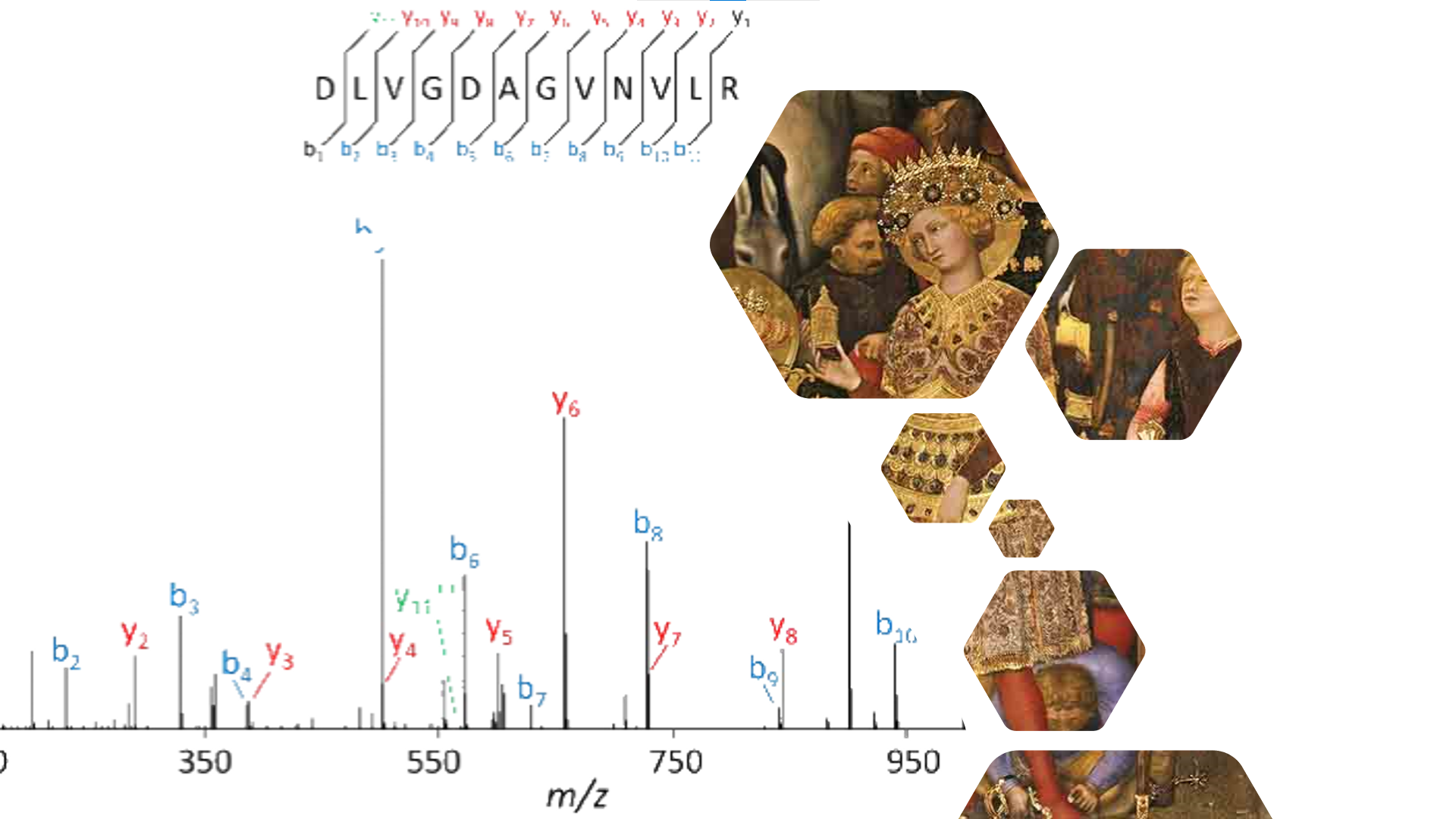 Read more about the article Proteins, Proteomics and Cultural Heritage. Colloquia dei XL