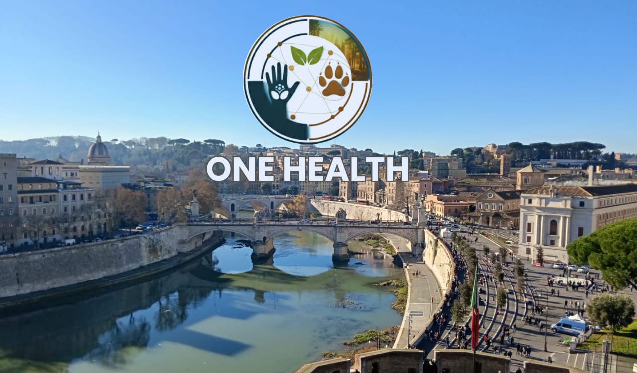 Scopri di più sull'articolo Giornata sull’Educazione Scientifica – II Edizione